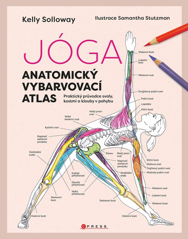 Jóga - anatomický vyfarbovací atlas