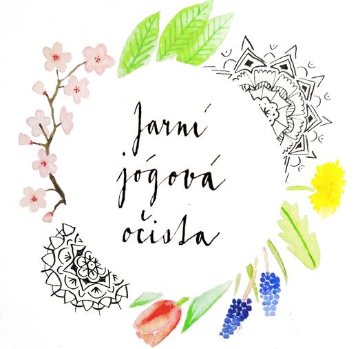 Jarna ocista jogou